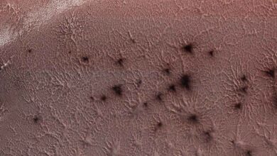 मंगल पर दिखाई दिए रहस्यमयी मकड़ियाँ! - Mysterious Spiders On Mars.