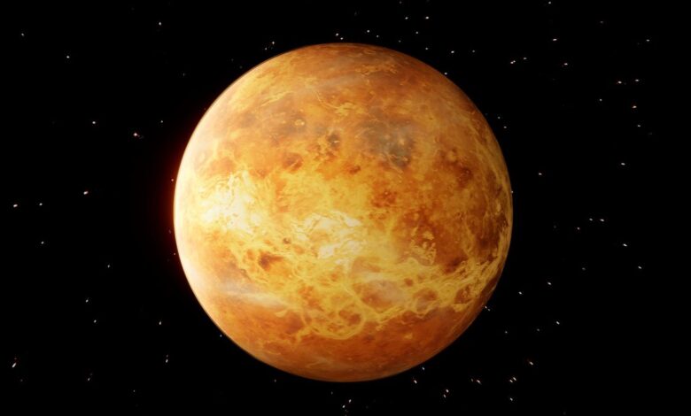 Venus Photo.