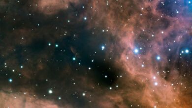 Molecular Cloud. Image Credit : ESO