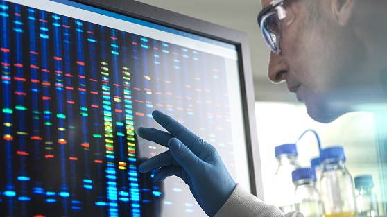 Scientist viewing DNA sample results on screen during clinical experiment.