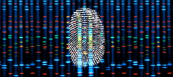 Fingerprint.