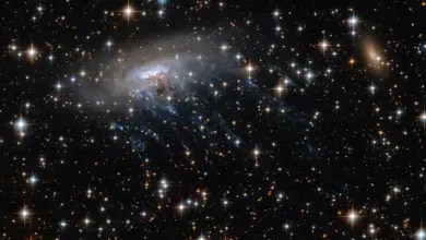 गैलेक्सी ESO 137-001 को भी एक "जेलीफ़िश गैलेक्सी" माना जाता है, क्योंकि इसमें से नीली रेखाओं में तारों का निर्माण होता हुआ दिखाई देता है—जो जेलीफ़िश के टेंटेकल्स जैसे लगते हैं।