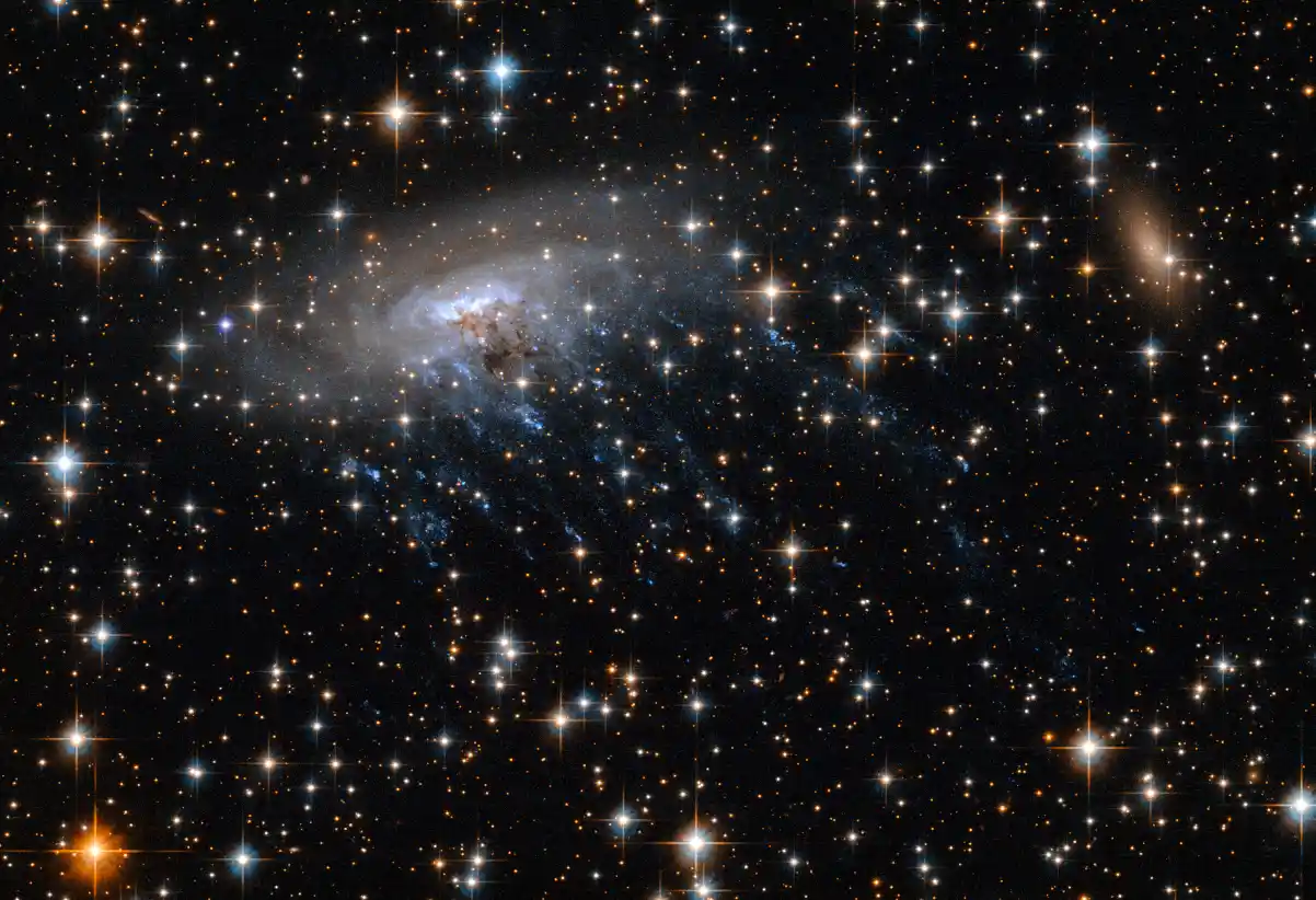 गैलेक्सी ESO 137-001 को भी एक "जेलीफ़िश गैलेक्सी" माना जाता है, क्योंकि इसमें से नीली रेखाओं में तारों का निर्माण होता हुआ दिखाई देता है—जो जेलीफ़िश के टेंटेकल्स जैसे लगते हैं।