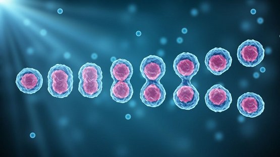 अन्तरिक्ष में इंसानी "Stem Cell" के ऊपर हैं बहुत खतरा! - Human Stem Cells In Space