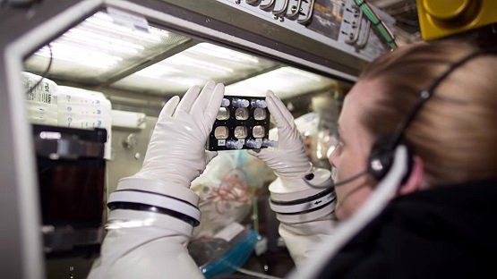 STEM Cell in Microgravity.