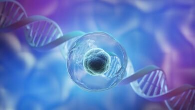 अन्तरिक्ष में इंसानी "Stem Cell" के ऊपर है बहुत खतरा! - Human Stem Cells In Space.