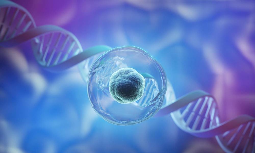 अन्तरिक्ष में इंसानी "Stem Cell" के ऊपर है बहुत खतरा! - Human Stem Cells In Space.